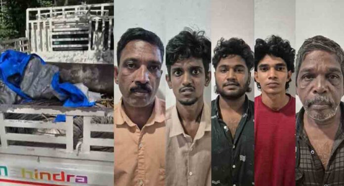 മലപ്പുറം വഴിക്കടവ് കെഎസ്ഇബി ഓഫീസിൽ അലുമിനിയം കമ്പി മോഷണം ; ജീവനക്കാരനും കരാർ തൊഴിലാളികളും അടക്കം അഞ്ച് പേർ പിടിയിൽ മലപ്പുറം വഴിക്കടവ് കെഎസ്ഇബി ഓഫീസിൽ അലുമിനിയം കമ്പി മോഷണം ; ജീവനക്കാരനും കരാർ തൊഴിലാളികളും അടക്കം അഞ്ച് പേർ പിടിയിൽ