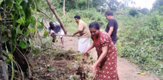ഇഴജന്തുക്കളുടെ ശല്യത്തെ തുടര്ന്ന് റോഡിലെ കാട് വെട്ടിത്തെളിച്ച് സന്നദ്ധ പ്രവർത്തകർ
