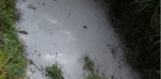 വാഴക്കുന്നം ജംഗ്ഷനിലെ കനാലില് വീണ്ടും കക്കൂസ് മാലിന്യം തള്ളി