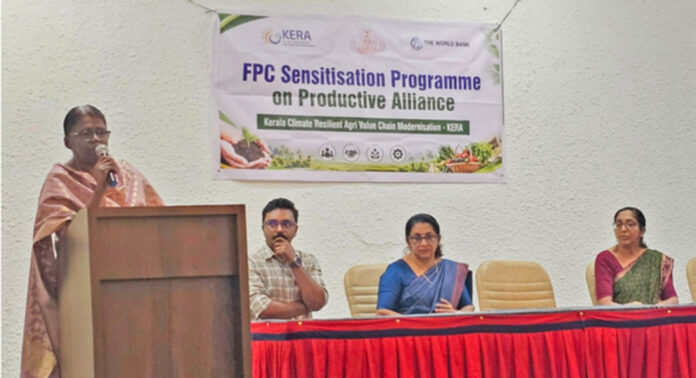 കേര പദ്ധതി : പത്തനംതിട്ട ജില്ലയിലെ കർഷക കൂട്ടായ്മകൾ രാജ്യാന്തര വിപണിയിലേക്ക് കേര പദ്ധതി : പത്തനംതിട്ട ജില്ലയിലെ കർഷക കൂട്ടായ്മകൾ രാജ്യാന്തര വിപണിയിലേക്ക്