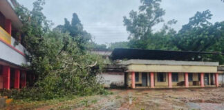 കൂടല് ഗവണ്മെന്റ് വി.എച്ച്.എസ് സ്കൂള് പരിസരത്ത് അപകടകരമായി മരങ്ങള് : മുറിച്ചുനീക്കാന് പത്തനംതിട്ട ജില്ലാ പഞ്ചായത്ത് ഫണ്ട് അനുവദിക്കുന്നില്ല