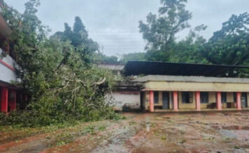 കൂടല് ഗവണ്മെന്റ് വി.എച്ച്.എസ് സ്കൂള് പരിസരത്ത് അപകടകരമായി മരങ്ങള് : മുറിച്ചുനീക്കാന് പത്തനംതിട്ട ജില്ലാ പഞ്ചായത്ത് ഫണ്ട് അനുവദിക്കുന്നില്ല