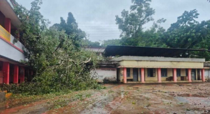 കൂടല് ഗവണ്മെന്റ് വി.എച്ച്.എസ് സ്കൂള് പരിസരത്ത് അപകടകരമായി മരങ്ങള് : മുറിച്ചുനീക്കാന് പത്തനംതിട്ട ജില്ലാ പഞ്ചായത്ത് ഫണ്ട് അനുവദിക്കുന്നില്ല കൂടല് ഗവണ്മെന്റ് വി.എച്ച്.എസ് സ്കൂള് പരിസരത്ത് അപകടകരമായി മരങ്ങള് : മുറിച്ചുനീക്കാന് പത്തനംതിട്ട ജില്ലാ പഞ്ചായത്ത് ഫണ്ട് അനുവദിക്കുന്നില്ല