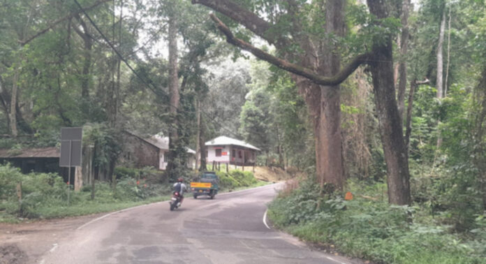 വടശ്ശേരിക്കര – ചിറ്റാര് റോഡില് അപകട ഭീഷണിയായി മരങ്ങള് വടശ്ശേരിക്കര – ചിറ്റാര് റോഡില് അപകട ഭീഷണിയായി മരങ്ങള്