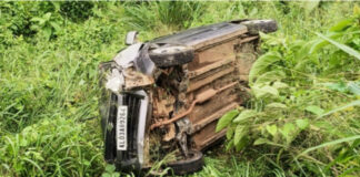 തണ്ണിത്തോട് മേടപ്പാറയില് കാര് താഴ്ചയിലേക്ക് മറിഞ്ഞു ; ഡ്രൈവര്ക്ക് പരിക്ക്
