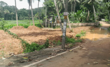 പുനലൂര് – മൂവാറ്റുപുഴ ഹൈവേയില് കുമ്പഴ മുതല് കലഞ്ഞൂര് വരെയുള്ള ഭാഗത്ത് നിലം നികത്തല് വ്യാപകം