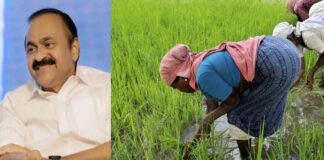 ബജറ്റിൽ നെൽകർഷകർക്ക് അവഗണന ; മുഖ്യമന്ത്രി കഴിക്കുന്നതും അരിയാഹാരമല്ലേയെന്ന് കർഷകർ