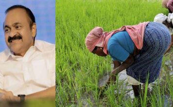 ബജറ്റിൽ നെൽകർഷകർക്ക് അവഗണന ; മുഖ്യമന്ത്രി കഴിക്കുന്നതും അരിയാഹാരമല്ലേയെന്ന് കർഷകർ