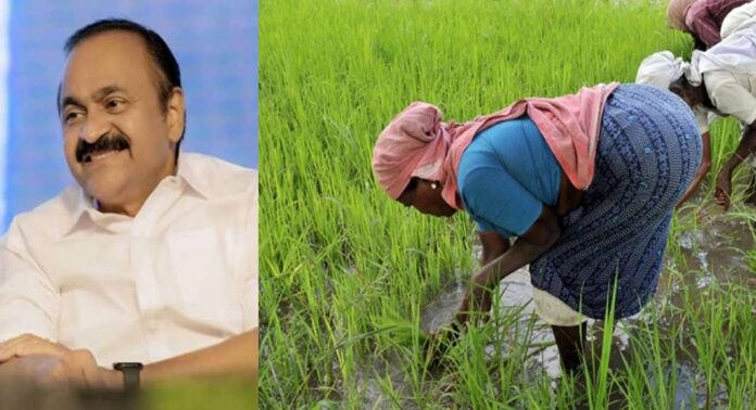 ബജറ്റിൽ നെൽകർഷകർക്ക് അവഗണന ; മുഖ്യമന്ത്രി കഴിക്കുന്നതും അരിയാഹാരമല്ലേയെന്ന് കർഷകർ ബജറ്റിൽ നെൽകർഷകർക്ക് അവഗണന ; മുഖ്യമന്ത്രി കഴിക്കുന്നതും അരിയാഹാരമല്ലേയെന്ന് കർഷകർ
