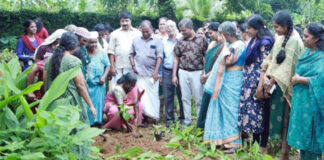 കല്ലുപ്പാറ ഗ്രാമപഞ്ചായത്തിന്റെ നേതൃത്വത്തില് പരിസ്ഥിതി ദിനാചരണം സംഘടിപ്പിച്ചു