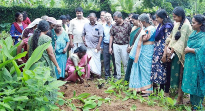 കല്ലുപ്പാറ ഗ്രാമപഞ്ചായത്തിന്റെ നേതൃത്വത്തില് പരിസ്ഥിതി ദിനാചരണം സംഘടിപ്പിച്ചു കല്ലുപ്പാറ ഗ്രാമപഞ്ചായത്തിന്റെ നേതൃത്വത്തില് പരിസ്ഥിതി ദിനാചരണം സംഘടിപ്പിച്ചു