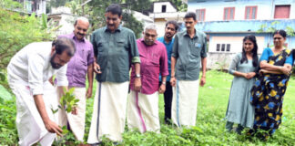 സി.പി.എം -ന്റെ നേതൃത്വത്തില് വ്യക്ഷത്തൈകള് നട്ടു