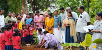 കോന്നി ഗ്രാമ പഞ്ചായത്തിന്റെയും കൃഷി ഭവന്റെയും നേതൃത്വത്തില് പരിസ്ഥിതി ദിനം ആചരിച്ചു