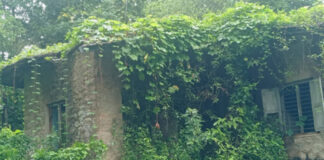 വടശ്ശേരിക്കരയില് കാടുകയറിയ സര്ക്കാര് ഭൂമി പൊതു ജനങ്ങള്ക്ക് ഭീഷണി