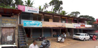 സീതത്തോട് വില്ലേജ് ഓഫീസില് നായയ്ക്ക് സുഖപ്രസവം ; കടിയേല്ക്കുമെന്ന ഭീതിയില് നാട്ടുകാര്