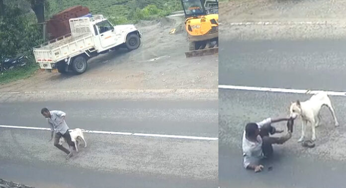 പീരുമേട് തെരുവ് നായ ശല്യം രൂക്ഷം : ഞായർ തിങ്കൾ ദിവസങ്ങളിലായി കടിയേറ്റത് 14 പേര്ക്ക് പീരുമേട് തെരുവ് നായ ശല്യം രൂക്ഷം : ഞായർ തിങ്കൾ ദിവസങ്ങളിലായി കടിയേറ്റത് 14 പേര്ക്ക്