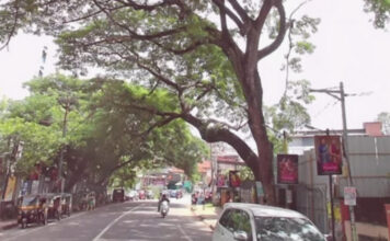 തിരുവല്ല ഹെഡ് പോസ്റ്റ് ഓഫീസിന് സമീപം അപകട ഭീഷണിയായി കൂറ്റന് മരം