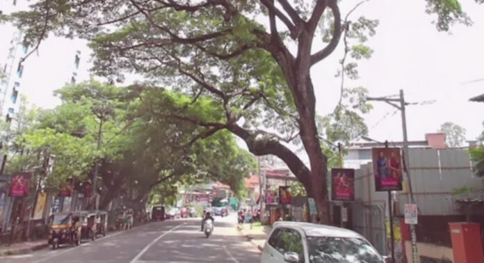തിരുവല്ല ഹെഡ് പോസ്റ്റ് ഓഫീസിന് സമീപം അപകട ഭീഷണിയായി കൂറ്റന് മരം തിരുവല്ല ഹെഡ് പോസ്റ്റ് ഓഫീസിന് സമീപം അപകട ഭീഷണിയായി കൂറ്റന് മരം