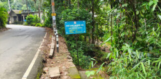 തോമ്പിക്കണ്ടം ചപ്പാത്തിലെ അപകടവളവ് ; ക്രാഷ് ബാരിയറോ സംരക്ഷണ ഭിത്തിയോ വേണമെന്ന ആവശ്യവുമായി നാട്ടുകാർ