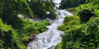 തിമിര്ത്ത് പെയ്ത മഴയില് ജില്ലയിലെ വെള്ളച്ചാട്ടങ്ങള്ക്ക് പുതുജീവന് ; സഞ്ചാരികളുടെ തിരക്കും വര്ധിക്കുന്നു