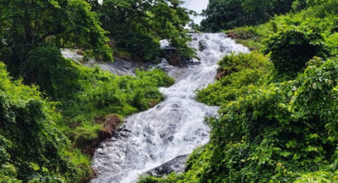 തിമിര്ത്ത് പെയ്ത മഴയില് ജില്ലയിലെ വെള്ളച്ചാട്ടങ്ങള്ക്ക് പുതുജീവന് ; സഞ്ചാരികളുടെ തിരക്കും വര്ധിക്കുന്നു തിമിര്ത്ത് പെയ്ത മഴയില് ജില്ലയിലെ വെള്ളച്ചാട്ടങ്ങള്ക്ക് പുതുജീവന് ; സഞ്ചാരികളുടെ തിരക്കും വര്ധിക്കുന്നു