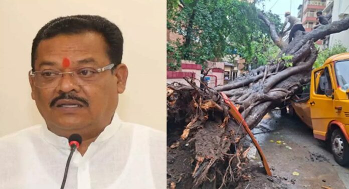 സ്കൂൾ ബസിന് മുകളിൽ മരംവീണ് വിദ്യാർഥി മരിച്ച സംഭവത്തിൽ മഹാരാഷ്ട്ര മന്ത്രിയുടെ പരാമർശം വിവാദത്തിൽ സ്കൂൾ ബസിന് മുകളിൽ മരംവീണ് വിദ്യാർഥി മരിച്ച സംഭവത്തിൽ മഹാരാഷ്ട്ര മന്ത്രിയുടെ പരാമർശം വിവാദത്തിൽ