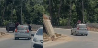 മൂന്നാറിൽ വീണ്ടും വിനോദസഞ്ചാരികളുടെ അപകടയാത്ര