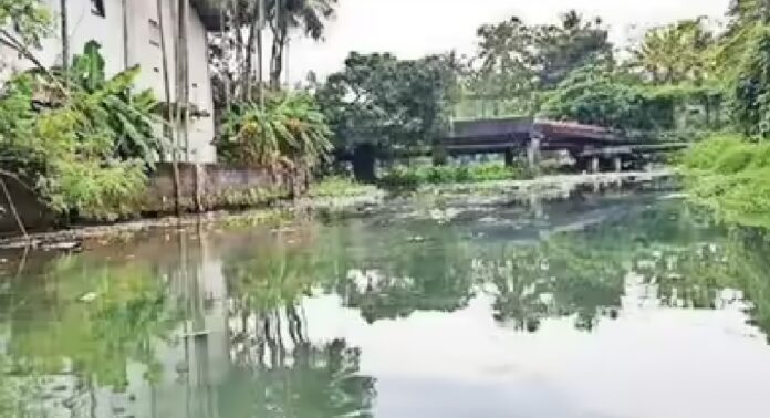 കൊച്ചിയിലെ ജലാശയങ്ങൾ ആരോഗ്യഭീഷണിയിൽ കൊച്ചിയിലെ ജലാശയങ്ങൾ ആരോഗ്യഭീഷണിയിൽ