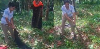 ആര്യനാട് നിന്നും ഭീമൻ പെരുമ്പാമ്പിനെ പിടികൂടി