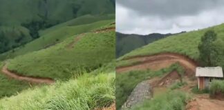 വാഗമണ്ണില് ഭൂമാഫിയ ഏക്കറുകണക്കിന് സര്ക്കാര് ഭൂമി കയ്യേറി