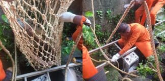 സെപ്റ്റിക് ടാങ്ക് തകർന്നു, സീരിയൽ നടിയായ വയോധിക 15 അടിയോളം താഴ്ചയുള്ള കുഴിയിൽ വീണു