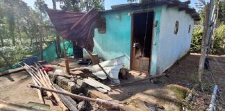 ചിന്നക്കനാലിൽ വീണ്ടും കാട്ടാന ആക്രമണം ; ‘ചക്കക്കൊമ്പൻ’ വീട് തകർത്തു