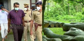 മുട്ടിൽ മരംമുറി കേസ് അട്ടിമറിക്കാൻ സർക്കാർ തലത്തിൽ ശ്രമം നടക്കുന്നതായി പ്രകൃതി സംരക്ഷണ സമിതി