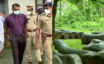 മുട്ടിൽ മരംമുറി കേസ് അട്ടിമറിക്കാൻ സർക്കാർ തലത്തിൽ ശ്രമം നടക്കുന്നതായി പ്രകൃതി സംരക്ഷണ സമിതി
