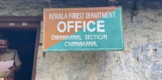 ചിന്നക്കനാലിൽ വന്യജീവി ആക്രമണം; അടിയന്തര ഇടപെടലുമായി വനം വകുപ്പ്