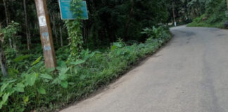 പൊന്തൻപുഴ -ചുങ്കപ്പാറ റോഡിൽ തിയേറ്റർ ജംഗ്ഷന് സമീപം അപകടങ്ങള് പെരുകുന്നു ; ക്രാഷ് ബാരിയർ സ്ഥാപിക്കണമെന്ന് ആവശ്യം