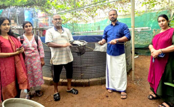 കോഴഞ്ചേരിയില് മല്സ്യകൃഷി വിളവെടുപ്പ് നടത്തി
