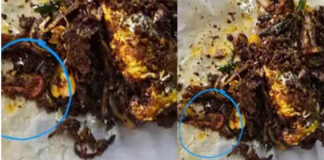 പോലീസ് കന്റീനിലെ ഭക്ഷണത്തിൽ അട്ട ; കോർപറേഷൻ പരിശോധനയെ തുടർന്ന് കന്റീൻ പൂട്ടിച്ചു