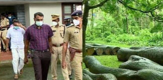 മുട്ടിൽ മരംമുറി കേസ് : അഗസ്റ്റിൻ സഹോദരങ്ങൾക്ക് തിരിച്ചടി ; കേസിൽ നൽകിയ ഹർജി ഹൈക്കോടതി തള്ളി
