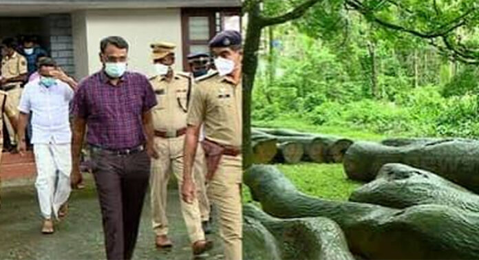 മുട്ടിൽ മരംമുറി കേസ് : അഗസ്റ്റിൻ സഹോദരങ്ങൾക്ക് തിരിച്ചടി ; കേസിൽ നൽകിയ ഹർജി ഹൈക്കോടതി തള്ളി മുട്ടിൽ മരംമുറി കേസ് : അഗസ്റ്റിൻ സഹോദരങ്ങൾക്ക് തിരിച്ചടി ; കേസിൽ നൽകിയ ഹർജി ഹൈക്കോടതി തള്ളി