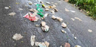 അടൂര് നെല്ലിമൂട്ടില്പടി – കോട്ടമുകള് കനാല് റോഡില് മനുഷ്യ വിസര്ജ്യം തള്ളുന്നു