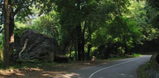 യാത്രക്കാരുടെ ശ്രദ്ധയ്ക്ക്… നെല്ലിയാമ്പതിയിൽ രാത്രി യാത്രയ്ക്ക് കർശന നിയന്ത്രണം