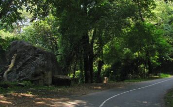 യാത്രക്കാരുടെ ശ്രദ്ധയ്ക്ക്… നെല്ലിയാമ്പതിയിൽ രാത്രി യാത്രയ്ക്ക് കർശന നിയന്ത്രണം