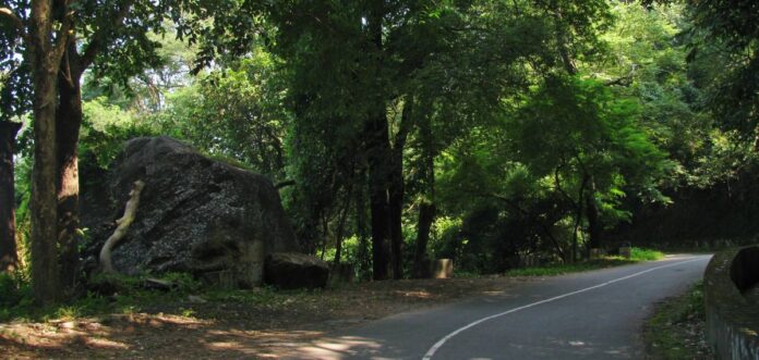 യാത്രക്കാരുടെ ശ്രദ്ധയ്ക്ക്… നെല്ലിയാമ്പതിയിൽ രാത്രി യാത്രയ്ക്ക് കർശന നിയന്ത്രണം യാത്രക്കാരുടെ ശ്രദ്ധയ്ക്ക്… നെല്ലിയാമ്പതിയിൽ രാത്രി യാത്രയ്ക്ക് കർശന നിയന്ത്രണം