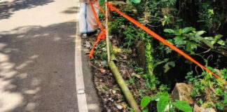വള്ളിക്കോട് – കൈപ്പട്ടൂര് റോഡില് പാലത്തിന് കൈവരിയില്ല : വാഹന യാത്ര ഭീതിയില്