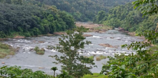 പമ്പാനദിയിൽ തോട്ടാ പൊട്ടിച്ച് മീൻപിടുത്തം വ്യാപകമാകുന്നു : പരാതിയുമായി നാട്ടുകാർ