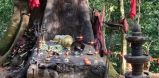 മണിയാര് പേക്കാവില് വന് മോഷണം : ലക്ഷങ്ങള് വിലമതിക്കുന്ന നിലവിളക്കുകളും മണികളും കവര്ന്നു
