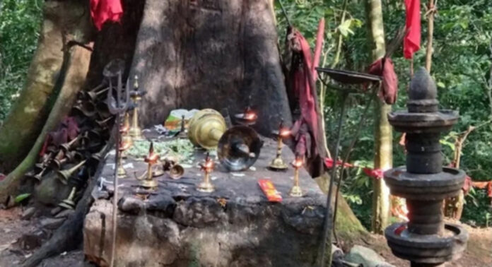 മണിയാര് പേക്കാവില് വന് മോഷണം : ലക്ഷങ്ങള് വിലമതിക്കുന്ന നിലവിളക്കുകളും മണികളും കവര്ന്നു മണിയാര് പേക്കാവില് വന് മോഷണം : ലക്ഷങ്ങള് വിലമതിക്കുന്ന നിലവിളക്കുകളും മണികളും കവര്ന്നു