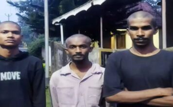 പെരുമ്പാവൂരിൽ മൂന്ന് യുവാക്കളെ തടഞ്ഞുനിര്ത്തി തല മൊട്ടയടിച്ചു