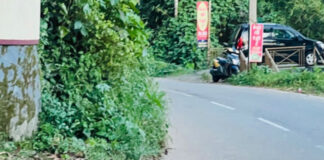 പെരുനാട് – അത്തിക്കയം റോഡിൽ കാടുവളര്ന്നത് യാത്രക്കാരുടെ കാഴ്ച മറയ്ക്കുന്നു